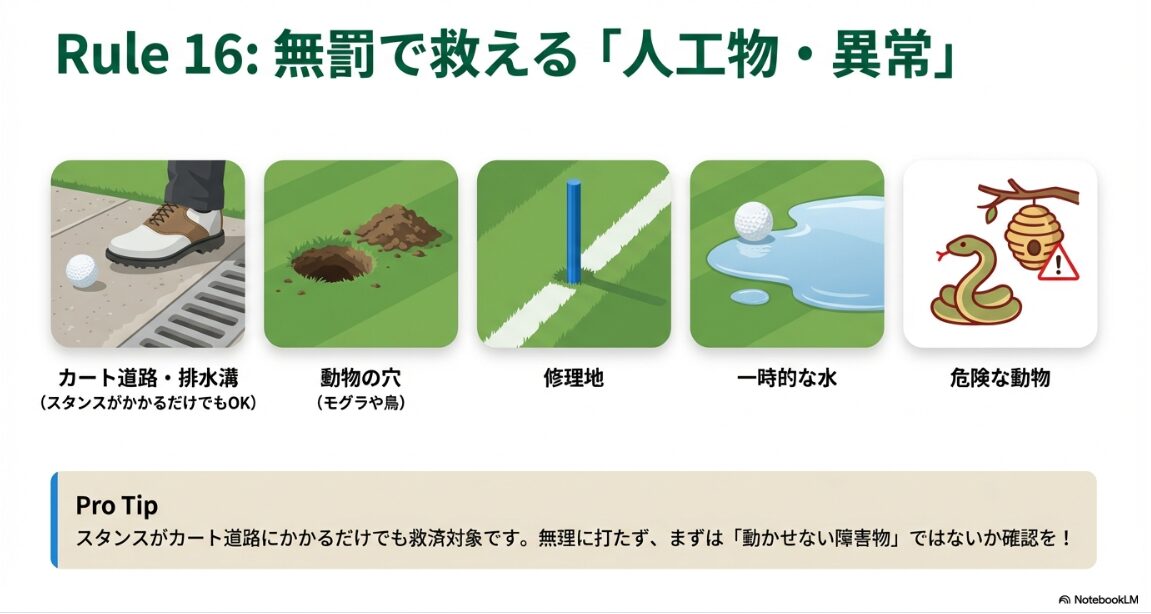 カート道路や水たまりなど無罰で救済が受けられる異常なコース状態の例
